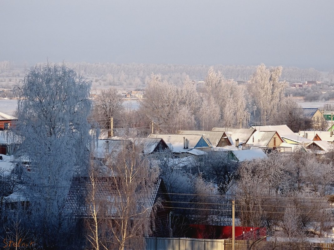 Морозное утро - Виктор Стельник