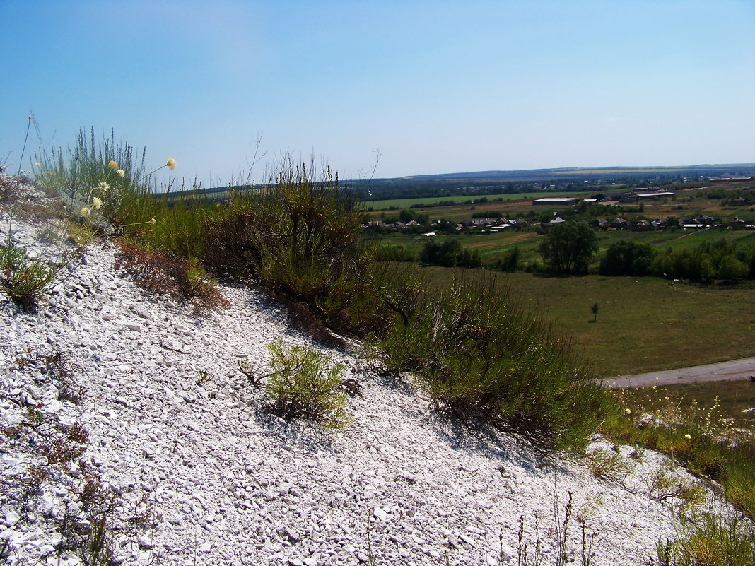 Растительность меловых гор. - Любовь К. Растительность меловых гор. - Любовь К.