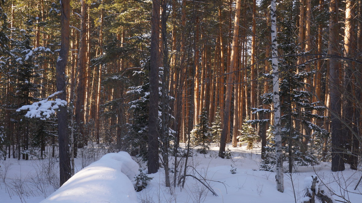 *** - Alexandr Staroverov