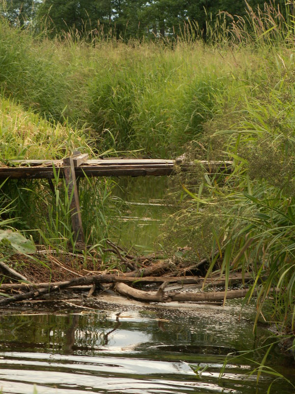 г.Южа, Ивановская обл.2005 г. - Екатерина Климова г.Южа, Ивановская обл.2005 г. - Екатерина Климова