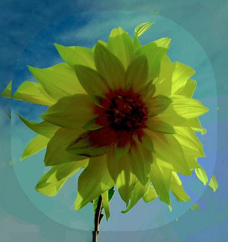 Небесный по фото Владимир Звягин - Владимир Хатмулин