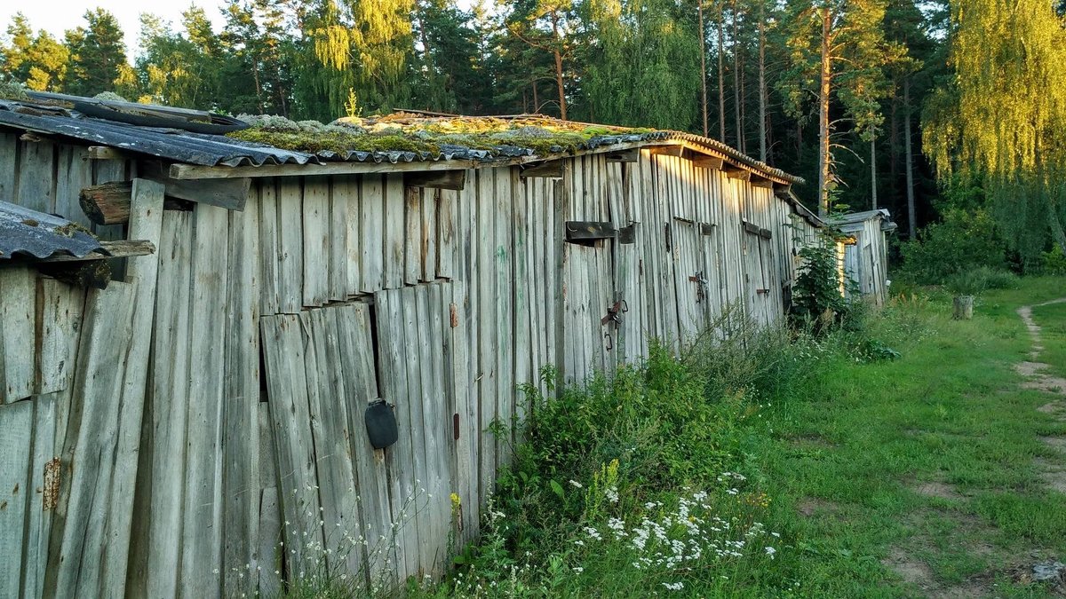 Ещё послужат - Tanja Gerster