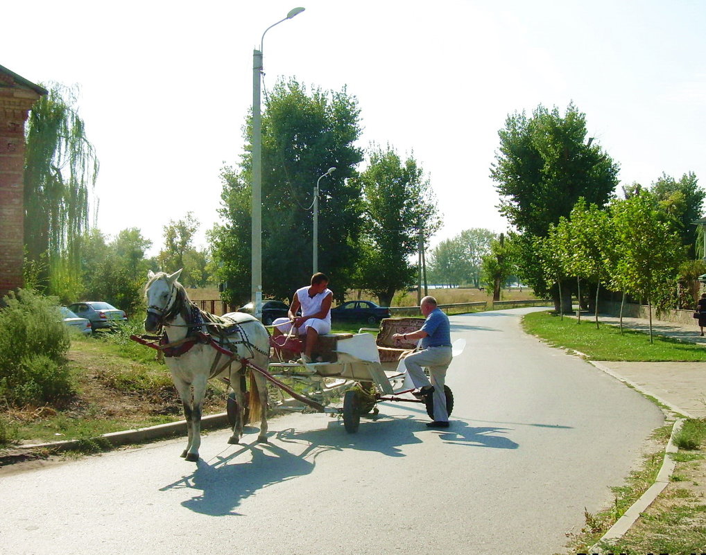 Станица Старочеркасская. Местное такси - татьяна 