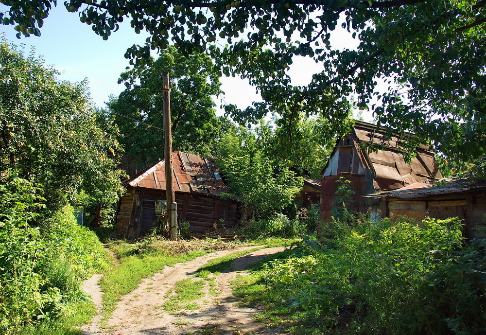 Рязань.Двор на Ул.Полонского. - Лесо-Вед (Баранов)