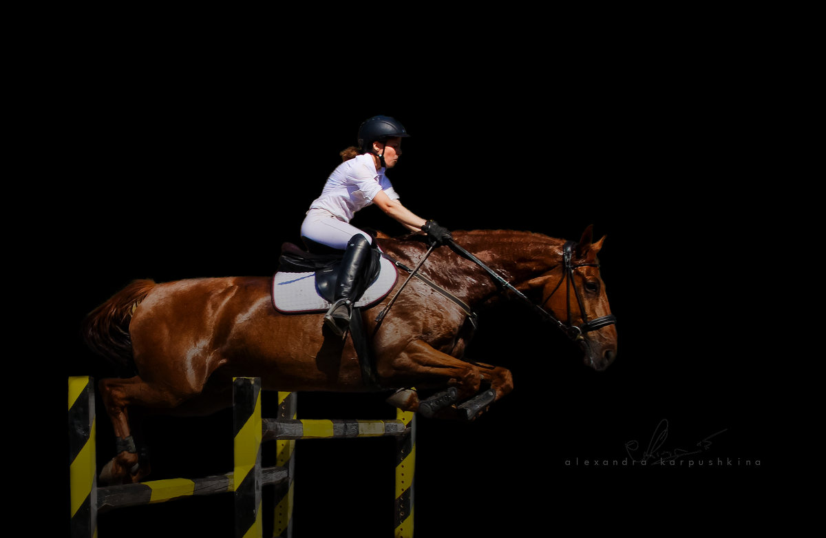 Мы то, что мы делаем - Александра Карпушкина Мы то, что мы делаем - Александра Карпушкина