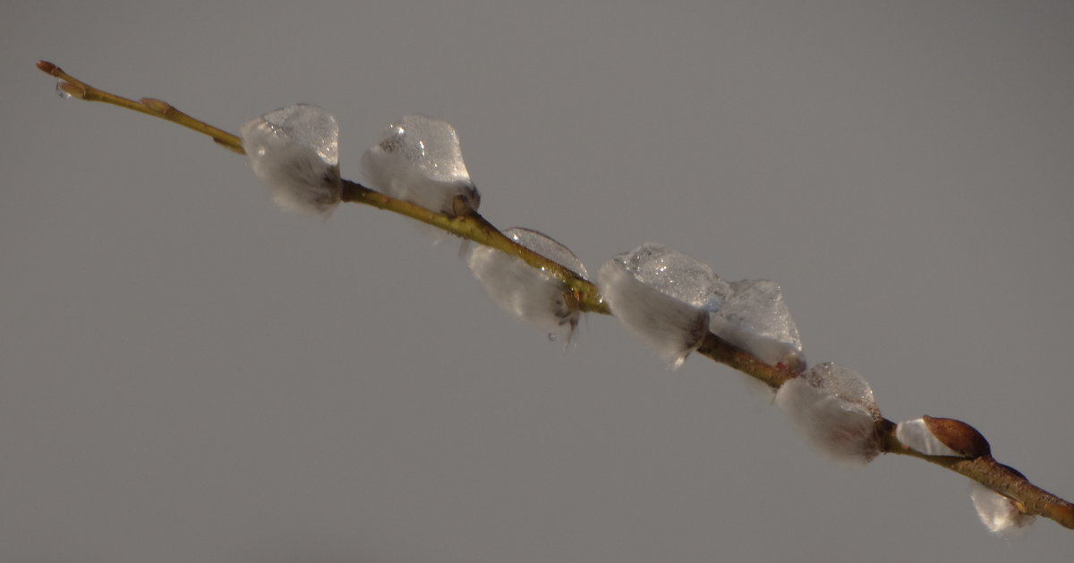 о весне - Михаил Жуковский