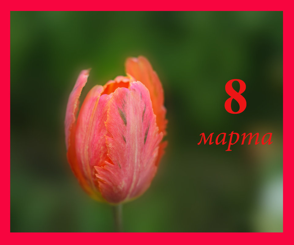 С ПРАЗДНИКОМ, ДЕВОЧКИ!!! - Вера 