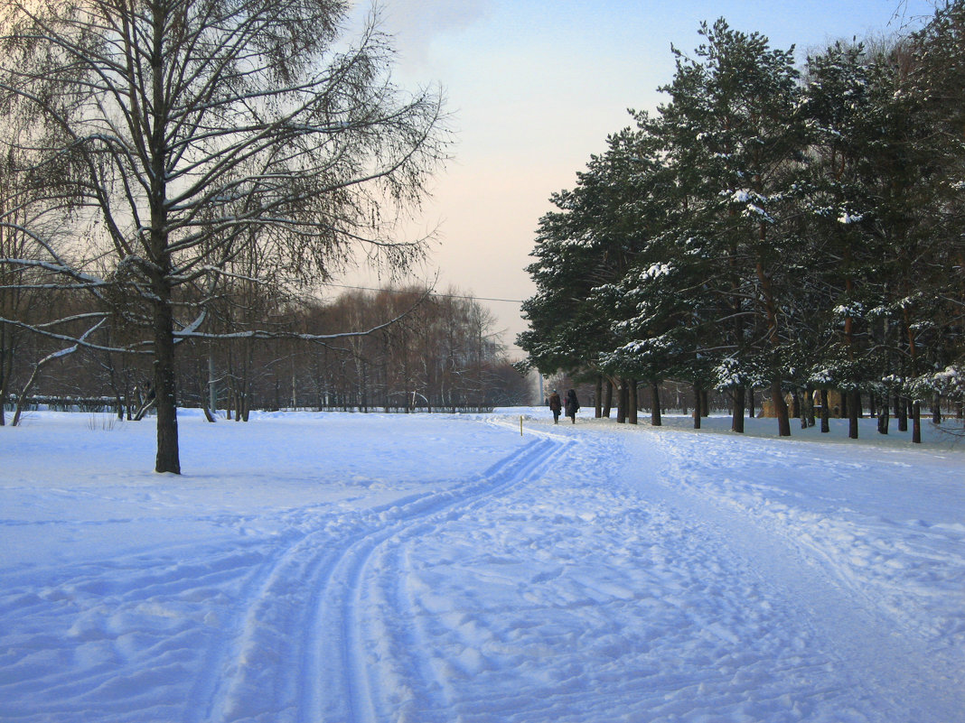 Лыжня. - Александр Атаулин