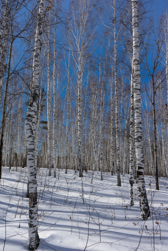 ... - Олег Мартоник