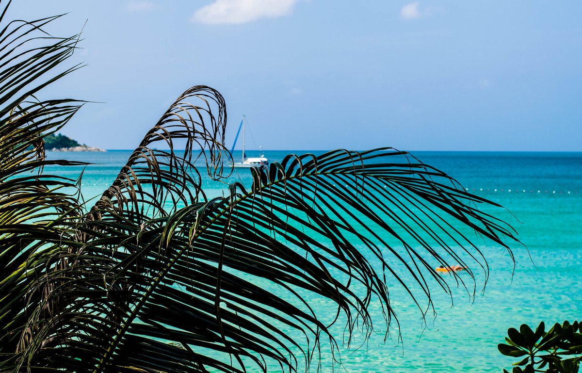 Морской пейзаж - Светлана 