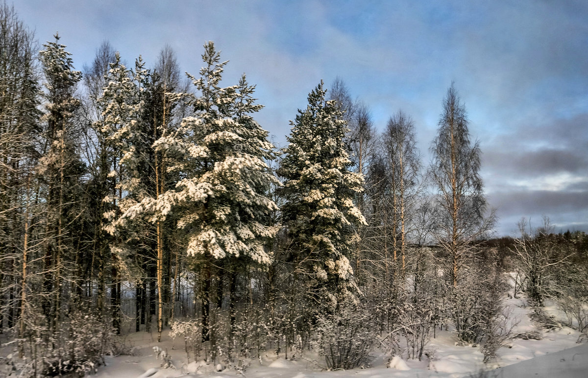 ...облачно,возможно прояснение... - dragonflight78.klimov 