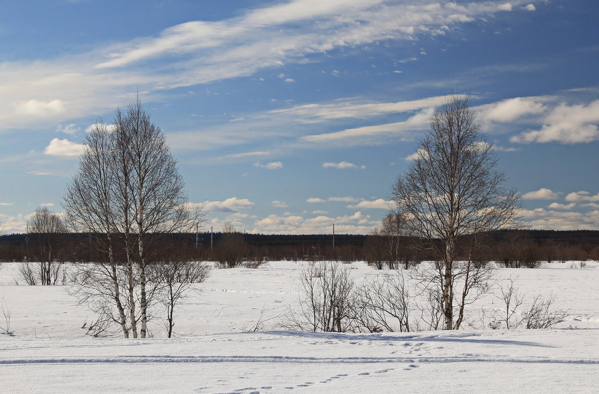 За городом - Галина Новинская