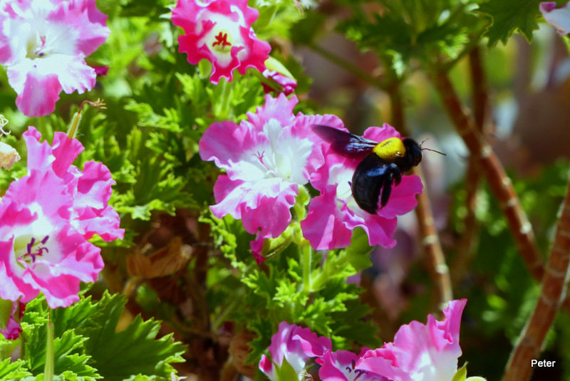 задание выполнено. - Пётр Беркун задание выполнено. - Пётр Беркун