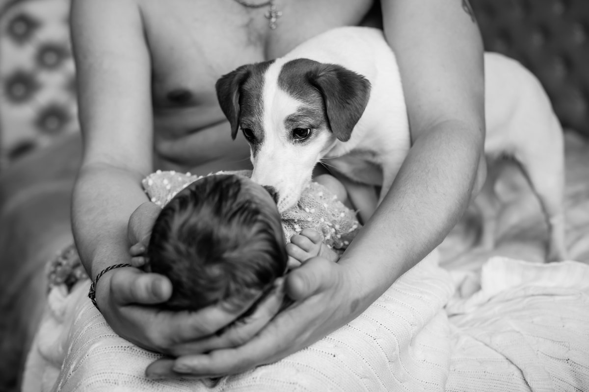 Первая встреча - Алла Мещерякова Первая встреча - Алла Мещерякова