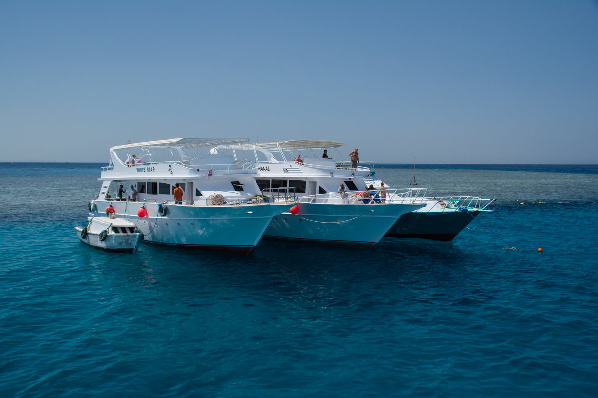 ..Еще и малыша прихватили!.. - Ruslan 