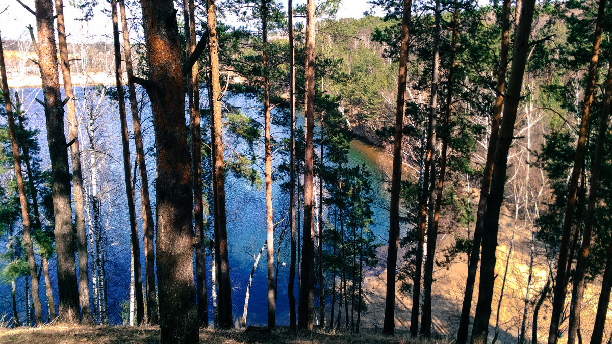 Карьер - Татьяна Колганова