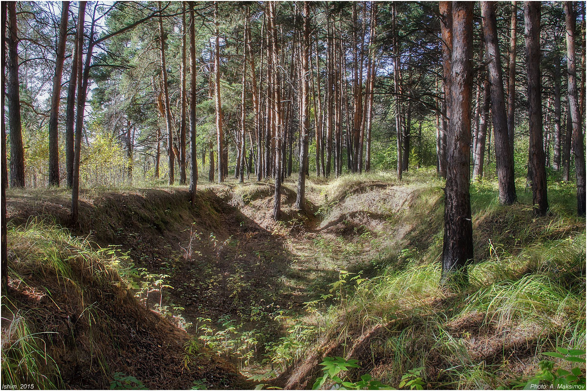Здесь формировались сибирские дивизии... - Александр Максимов Здесь формировались сибирские дивизии... - Александр Максимов