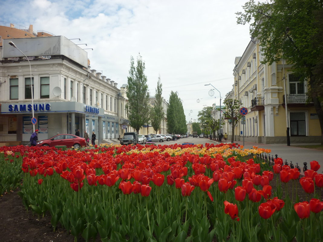 весна...тюльпаны...город - Любовь *