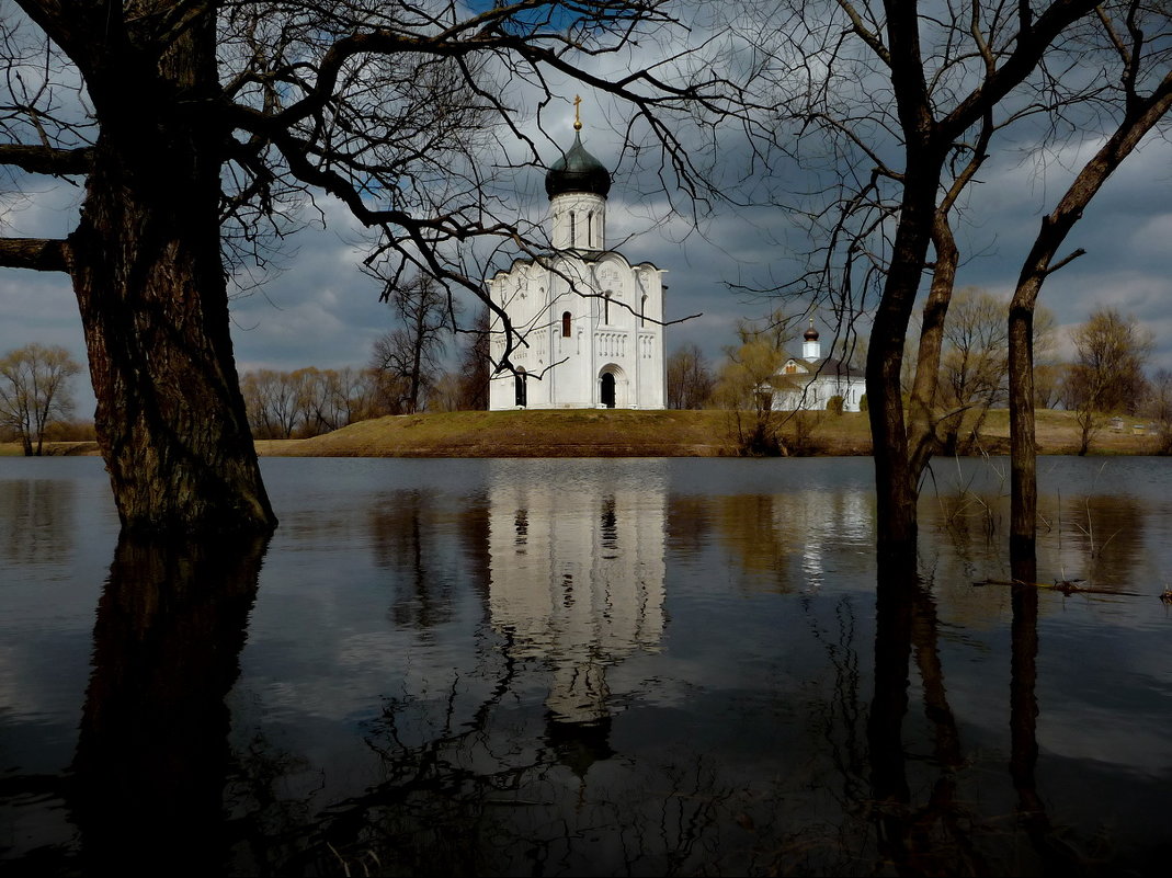 У Покрова на Нерли! - Владимир Шошин У Покрова на Нерли! - Владимир Шошин