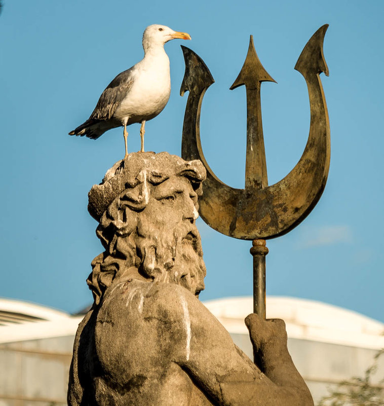 герб... - sergio tachini 