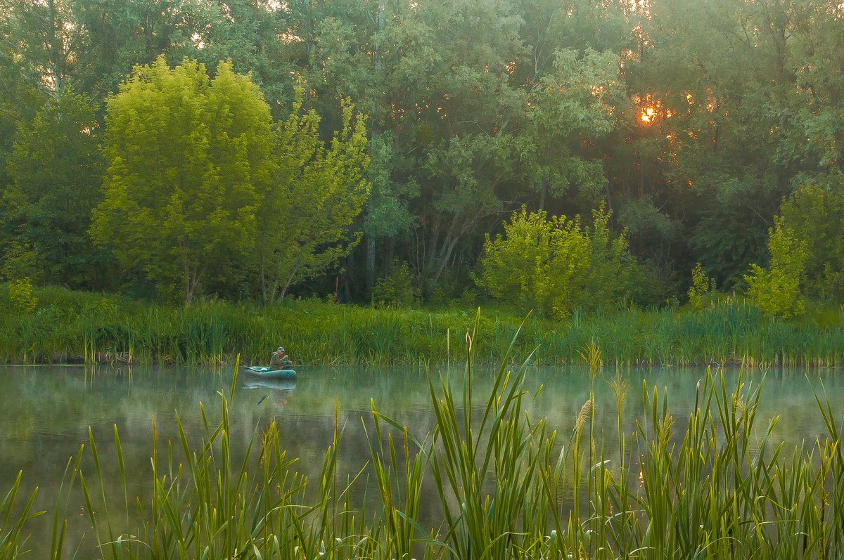 /// - Евгений Леоненко /// - Евгений Леоненко