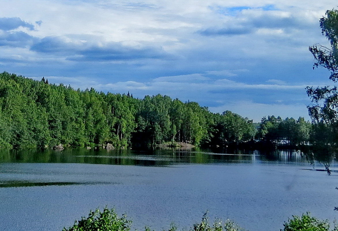 *** - Светлана Петошина