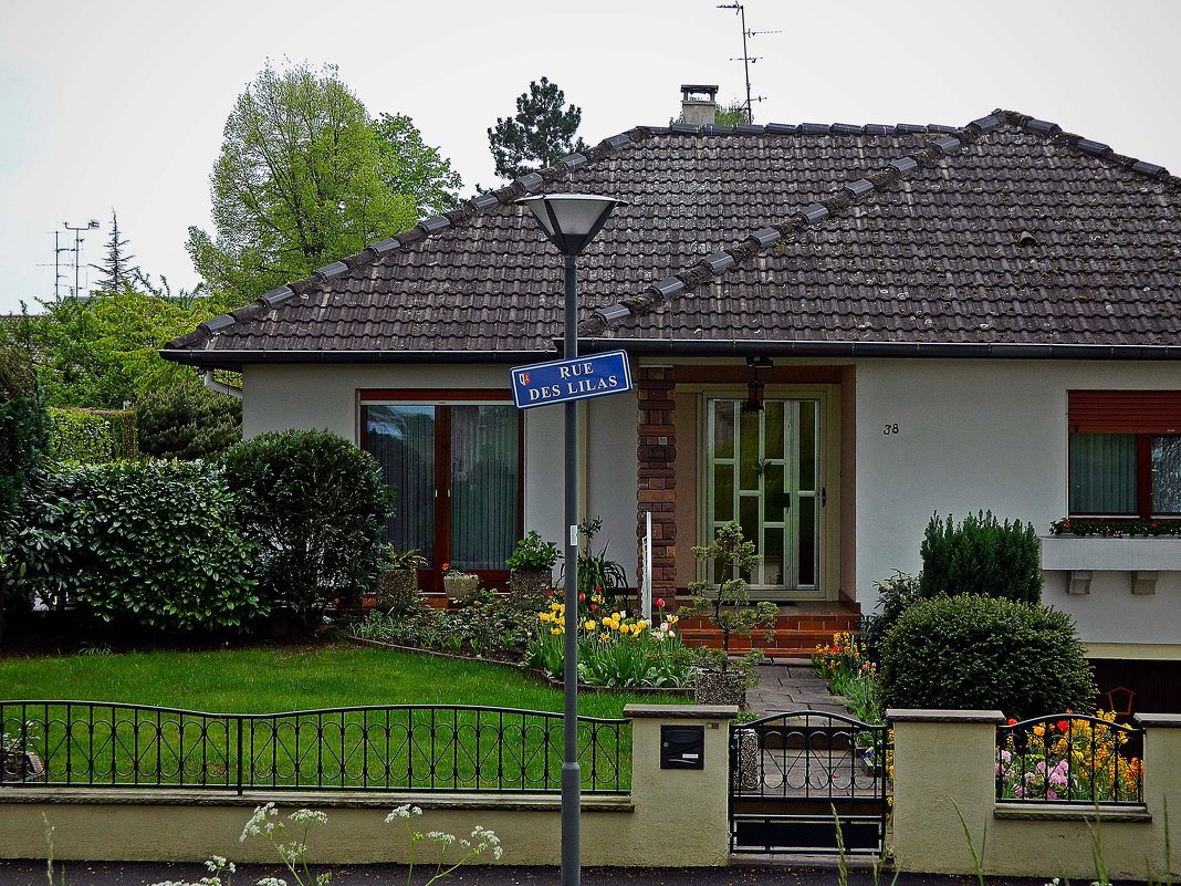 жизнь на Лилейной улице - Александр Корчемный