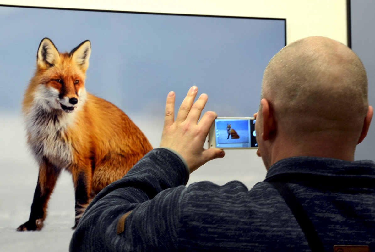 Колобок, а давай я тебя съем! - Николай Ярёменко Колобок, а давай я тебя съем! - Николай Ярёменко
