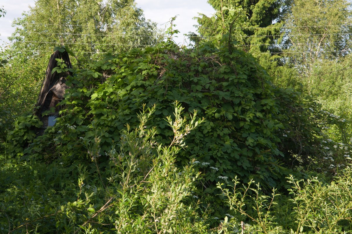 -- - Александр Малюгин