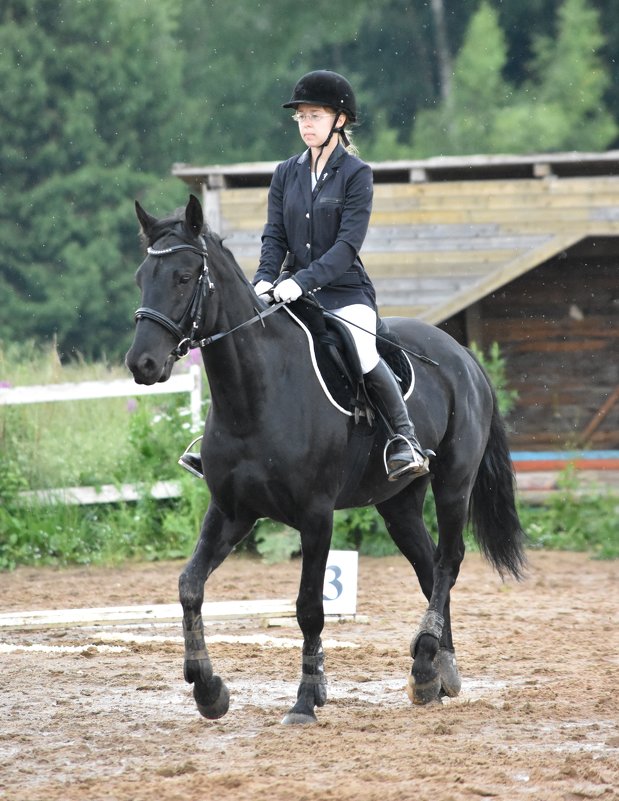 Соревнования - Bogdasha Sidorenko