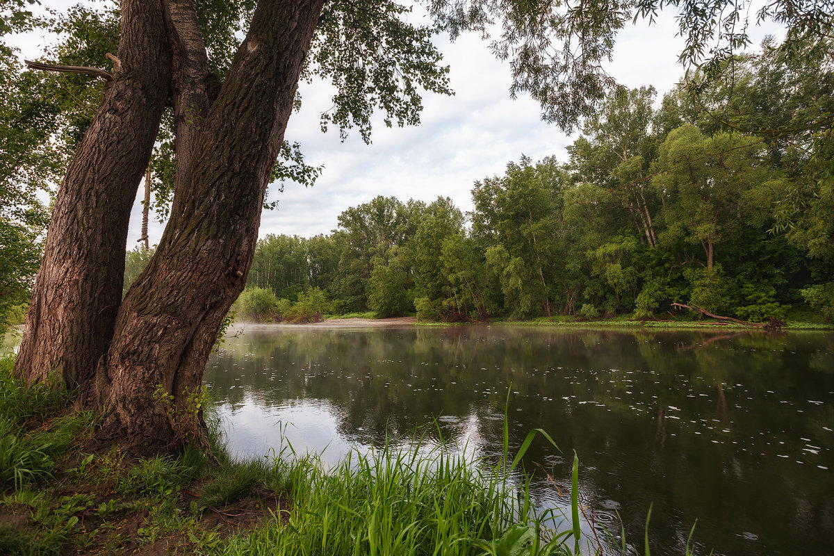 Утро на реке Сакмара - Александр Кислицын Утро на реке Сакмара - Александр Кислицын