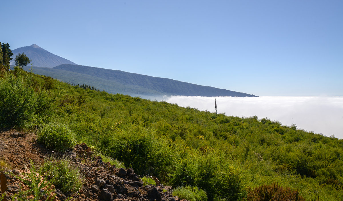 Те́йде (исп. Teide) — вулкан на острове Тенерифе, - Viktor S