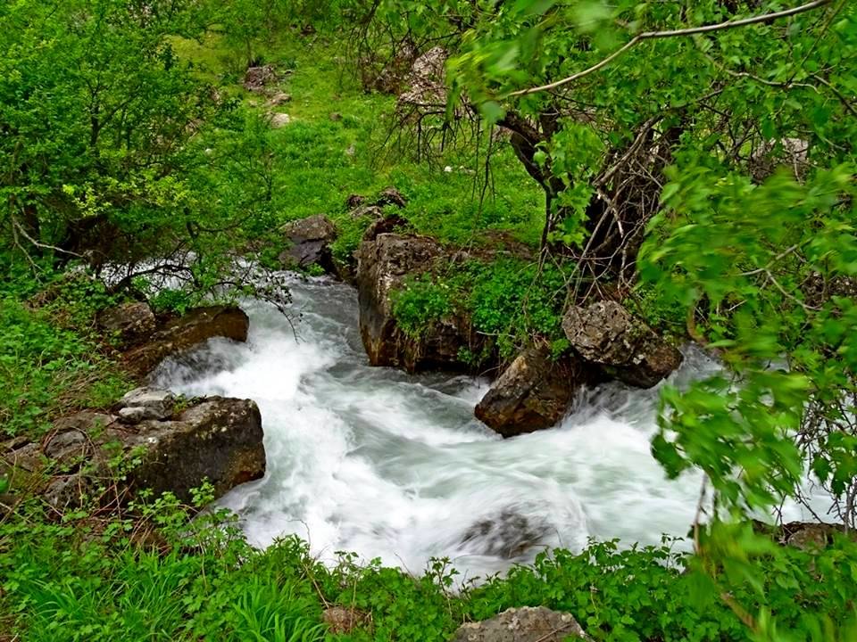 ЛЕТО В ГОРАХ. - Виктор Осипчук