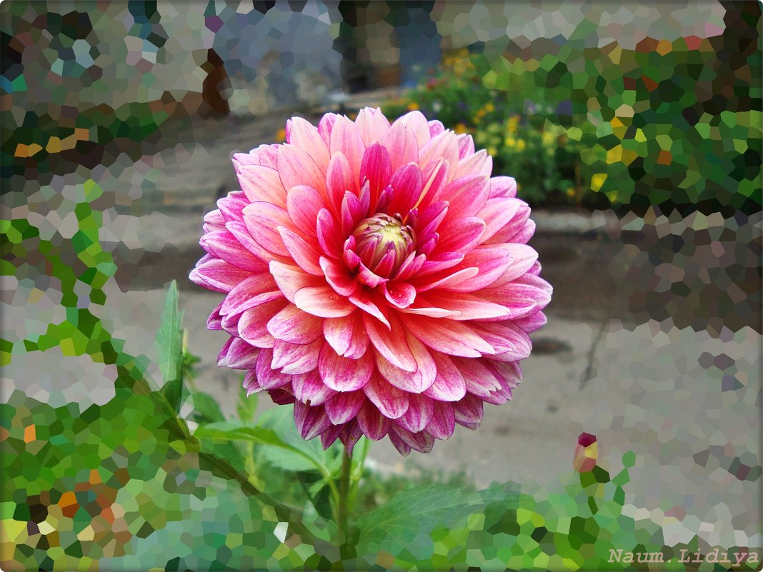 Одиночка - Лидия (naum.lidiya) Одиночка - Лидия (naum.lidiya)