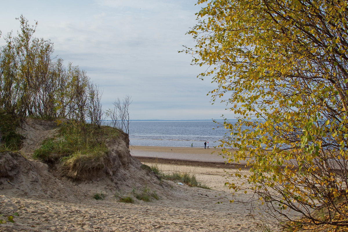 Белое море - Ирина Коваленко