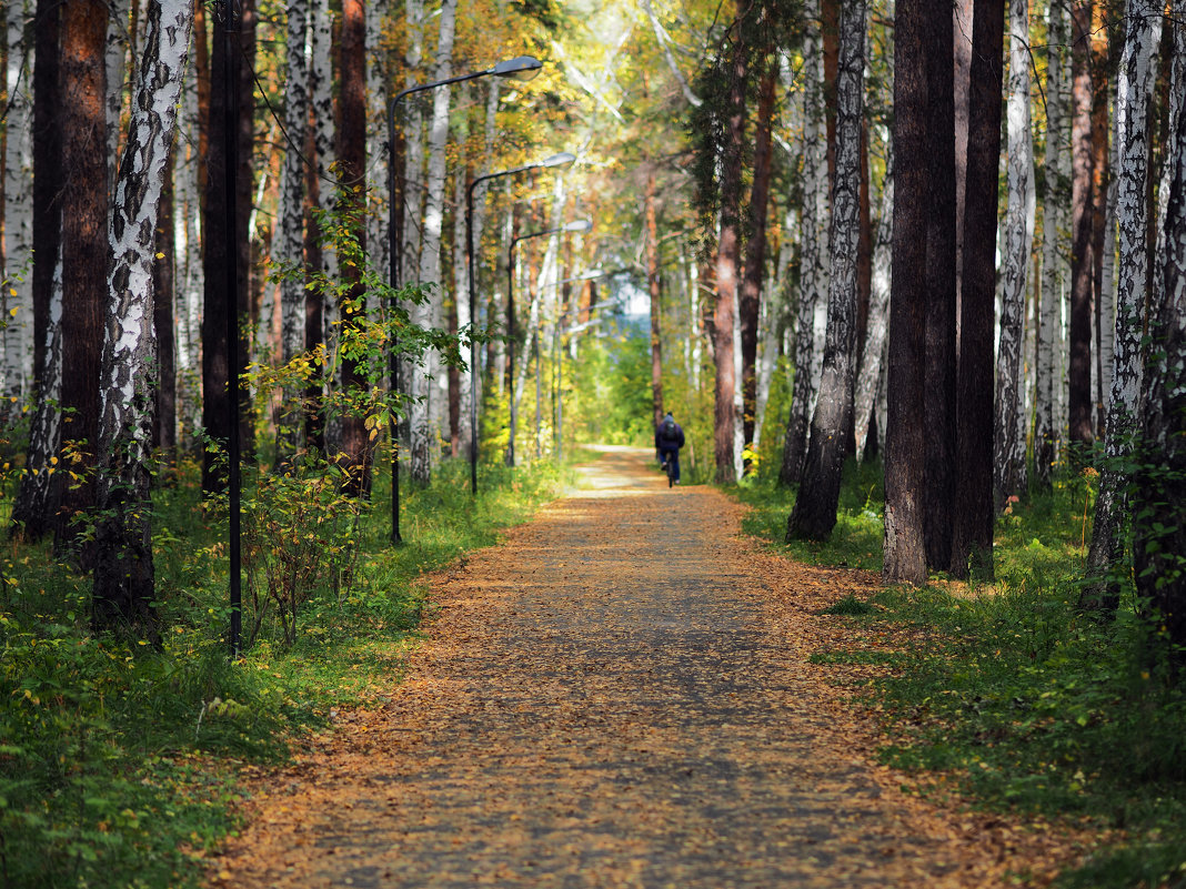 Вот лето кончилось уже, Пришла к нам осень золотая... - Сергей Адигамов