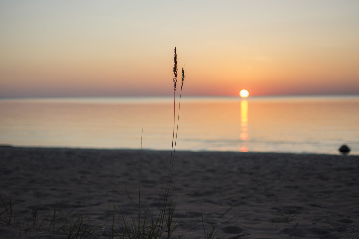 Закат - Олег Миндлин