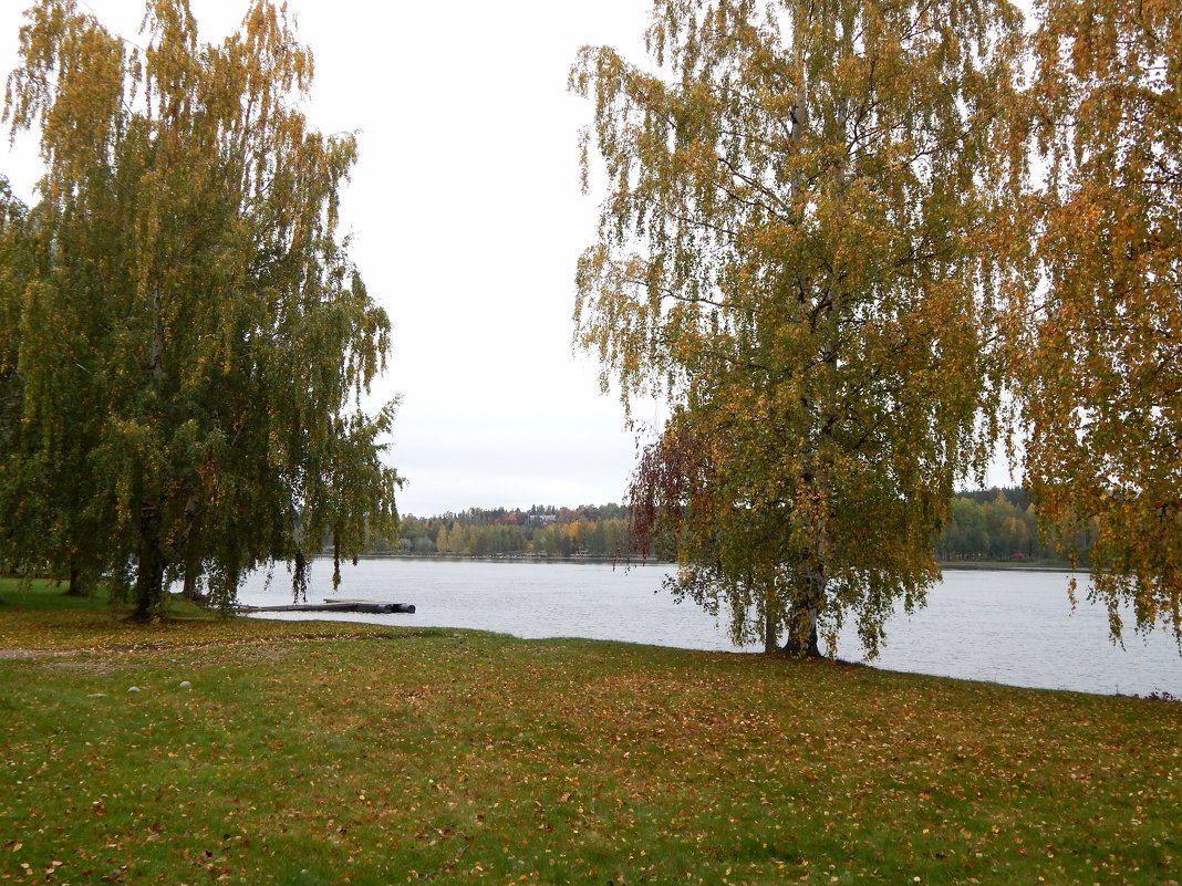 Страна Suomi. Иматра. - Лариса (Phinikia) Двойникова