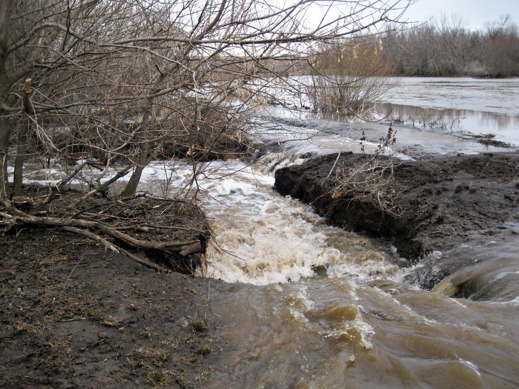 Разлив реки - Татьяна Королёва