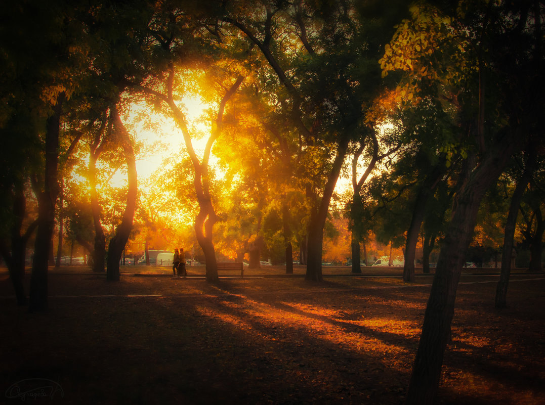 . - Фотограф Дарья Скугарева . - Фотограф Дарья Скугарева