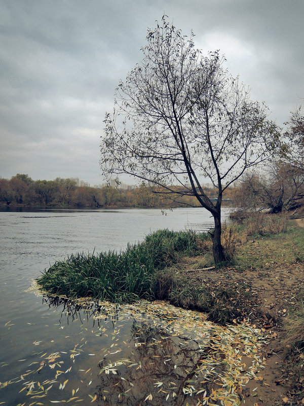 Осень в Крылатском - Денис Масленников