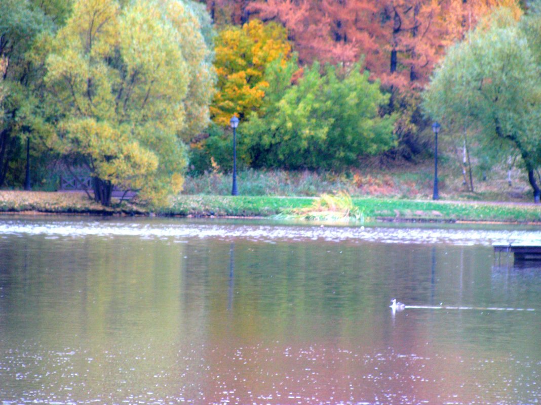 Октябрь. - Владимир Драгунский Октябрь. - Владимир Драгунский