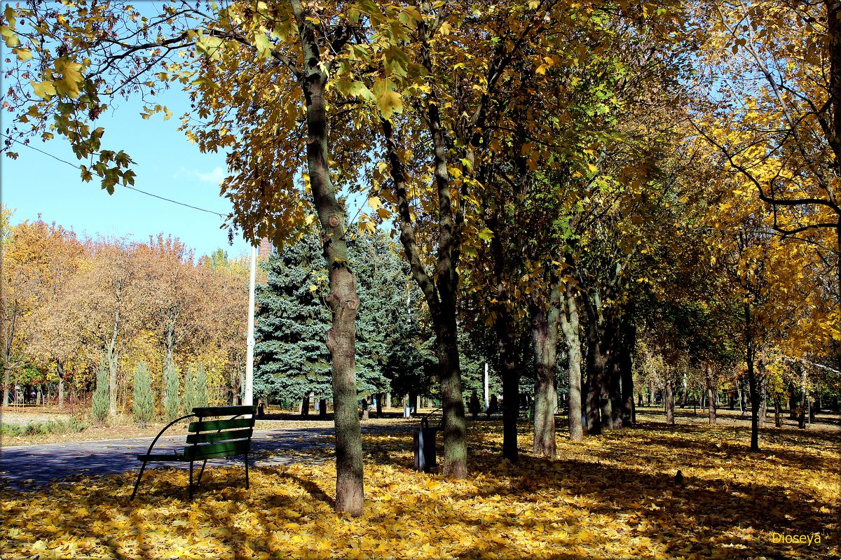 В парке - Татьяна Пальчикова