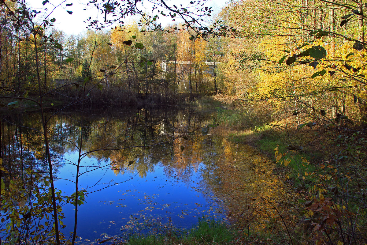 на водной глади - оксана 