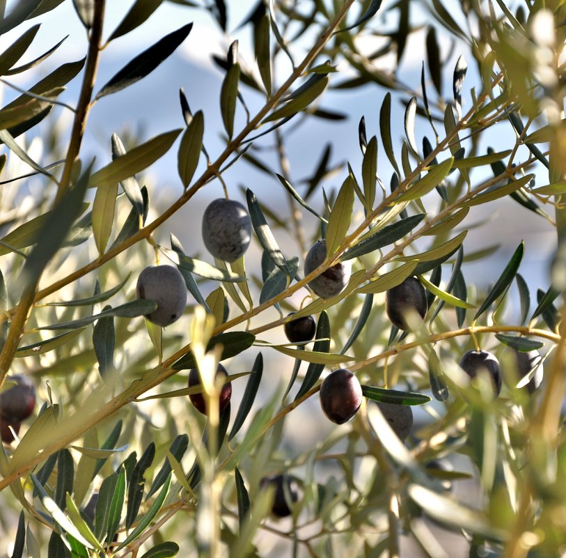 ... - Иван Владимирович Карташов