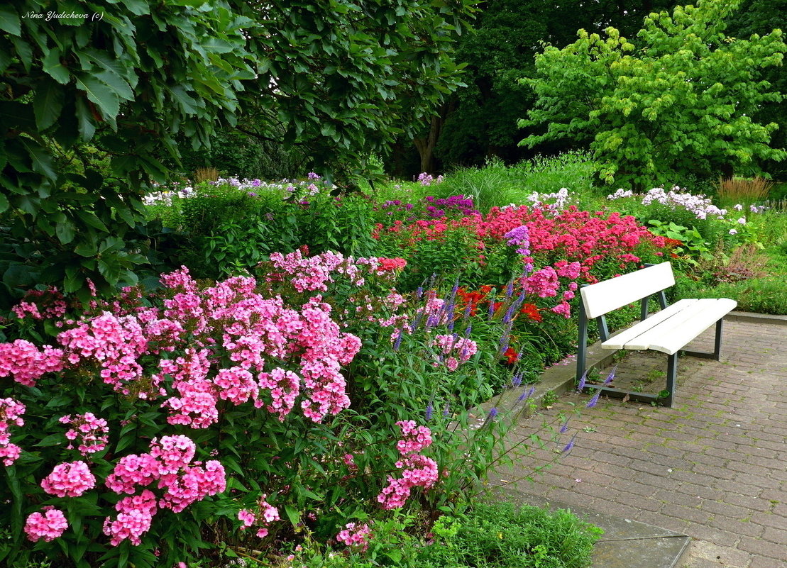 Planten un Blomen. Hamburg - Nina Yudicheva