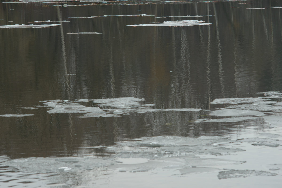 Первый лед  #1 - Анатолий Бастунский