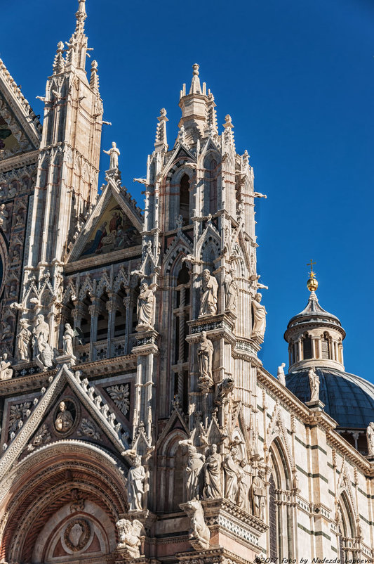 Duomo di Siena - Надежда Лаптева