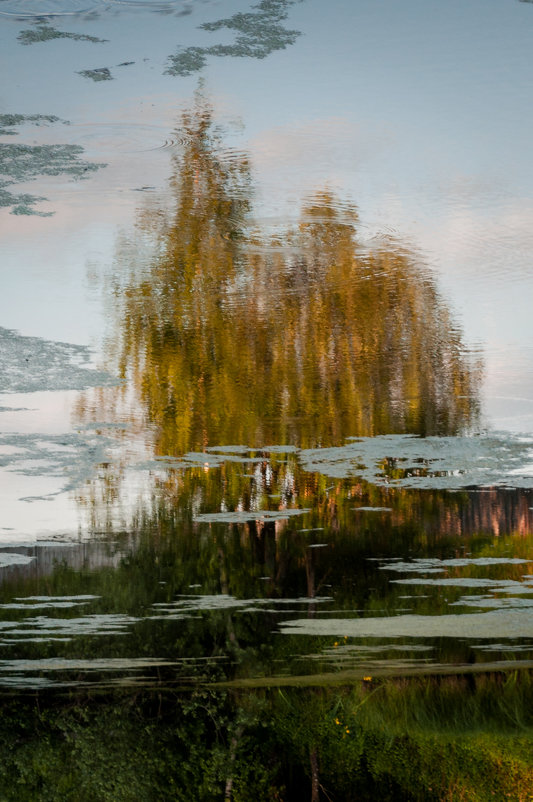 Отражение Осени - Rikki Отражение Осени - Rikki