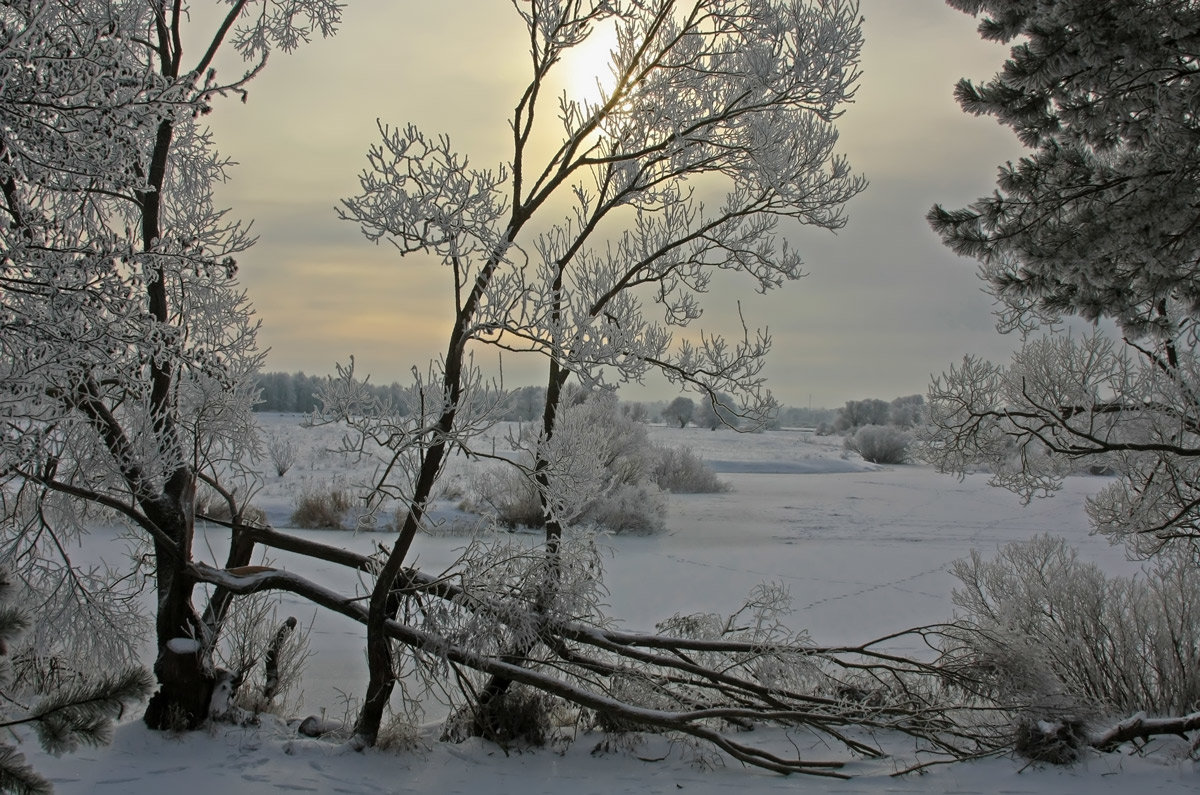 *** - Валерий 